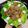 Cooksnap của SeleneJang 🌙 khi họ làm theo món Salad trộn thịt bò