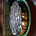 El cooksnap de Rocko Y Flop cuando hizo Tarta de banana, crema y dulce de leche.