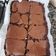 El cooksnap de Eve Nani cuando hizo Brownies fáciles.
