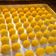 Cooksnap dari Nona Cookie untuk resep (Salin dari) Nastar lembut dn lumer dimulut