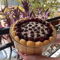 Cooksnap από Ελευθερία Παπαϊωάννου στη συνταγή Σαρλότ με φράουλες και φρούτα του δάσους