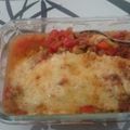 Dinosaadeh's cooksnap of when they made Vickys Lentil & Pepper Bake GF DF EF SF NF.