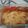 Dinosaadeh's cooksnap of when they made Vickys Lentil & Pepper Bake GF DF EF SF NF.