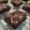 Cooksnap dari Leylita Kesty Hardjiyantie untuk resep Cranberry Brownie