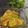 Cooksnap dari Viya untuk resep Pesmol Ikan Nila