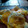 El cooksnap de Mario H. Davi cuando hizo Tostadas con huevos fritos y salsa bechamel de setas.
