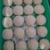 Cooksnap dari Dedew Criwi untuk resep DONO/Donat No kentang No Telur isi selai cokolatos