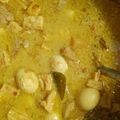 Cooksnap dari Silvia Rika untuk resep Opor Ayam Kuah Kuning & Kering