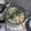 Cooksnap dari Wawan Kurniawan untuk resep Sayur Lodeh