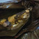 Cooksnap dari Diwyacitta Dirottsaha untuk resep PEPES IKAN