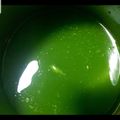 daksha a Vaghela 's cooksnap of when they made પાણી પૂરી નુ પાણી (Panipuri Pani Recipe In Gujarati).