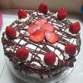 Cooksnap dari Rita Muliasari Bunda Sophie untuk resep Brownies Kukus Super Lembut Telur 5