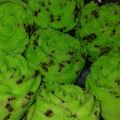 Cooksnap dari Monick untuk resep Bolu Kukus Pandan Coklat