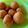 Cooksnap dari Anugrah Fitri untuk resep Kroket kentang keju (Hasil recook)