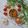 Cooksnap dari Dapur Olive untuk resep Saus Pizza