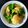 Cooksnap dari Minie Nora(MNKitchen) untuk resep Ayam opor Sawi Kampung