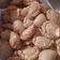 Cooksnap dari mama altaf abiyyu untuk resep Pastel Mini Isi Abon