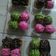 Cooksnap dari hannida untuk resep Banana nuget celup