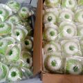 Cooksnap dari Chytie Moenawaroh untuk resep Putu Ayu Ekonomis Lembut