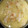 El cooksnap de tomaslapinta cuando hizo Kokotxas de bacalao.