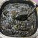 El cooksnap de Ana Estaragués Cinca cuando hizo Arroz negro con sepia.