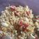Cooksnap dari desiana untuk resep Nasi Goreng Sosis #BikinRamadanBerkesan
