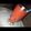 Sumy's delicious's cooksnap of when they made Melon drink🍷.