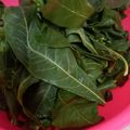 Cooksnap dari Istiqomah Fitriyani untuk resep Tips rebus daun singkong cepat & warnanya hijau fresh