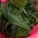 Cooksnap dari Istiqomah Fitriyani untuk resep Tips rebus daun singkong cepat & warnanya hijau fresh