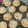 El cooksnap de María Del Carmen Nuño Fernández cuando hizo Galletas de mantequilla con manzana caramelizada!!!.