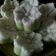 Cooksnap dari Sani Nisrina Nadhifah untuk resep Putu Ayu Pandan