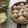 lemonlimelama 的 茄汁珍珠丸子(白米版) cooksnap
