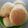 Cooksnap de Wyyzi sur la recette Petit pain portugais 🇵🇹