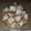 El cooksnap de Ludmi~C cuando hizo Beignets de Tiana.