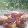 Cooksnap dari Angelina Purwanjani untuk resep Donat ala jco super lembut