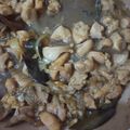 Cooksnap dari Sarah Fadillah untuk resep Ayam Kecap NgoHiong