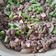 Cooksnap dari Neti Pink Pink untuk resep Tumis buncis daging cincang kilat