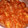 El cooksnap de Elena C cuando hizo Solomillos de pollo con tomate, mostaza y puerro.