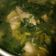 Cooksnap dari Reni Kusuma untuk resep Ayam blimbing wuluh