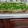 mdrysdale9663's cooksnap of when they made Taco Dip.