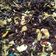 Cooksnap dari Lhuya untuk resep Fudgy Brownies