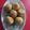 Pinal Patel's cooksnap of when they made મગસ ના લાડુ (Magas Ladoo Recipe In Gujarati).