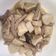 QBee Sindy Chien 的 杏鮑菇炒肉 cooksnap