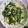 小語 的 菠菜炒蛋 cooksnap