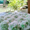Cooksnap dari Ana Yuliana untuk resep 71.Kue Klepon Simple Tanpa Kapur Sirih