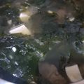 Cooksnap dari Lily Octavia untuk resep Sup Rumput Laut (Miyeok Guk)