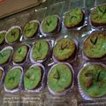 Cooksnap dari ELy Isa Wardi untuk resep Lumpur Roti Tawar (Puding Roti Tawar)