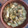 El cooksnap de Carlos Fernandez Llatas cuando hizo Pollo al "ras el hanout" (en thermomix).
