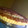 El cooksnap de Sofia cuando hizo Tarta de coco y dulce de leche.