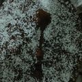 صورة من أميرة الفراشات، شاركها بعد تجربة وصفة كيكة الموكا البارده